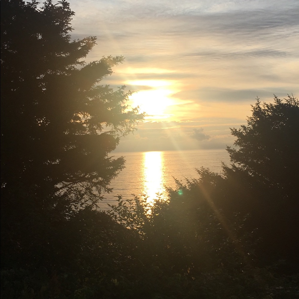 Meet your Posher, Ruth